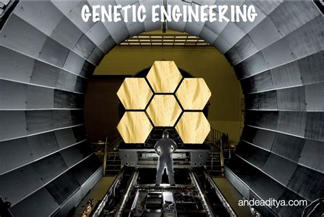 Image result for Genetic Engineering