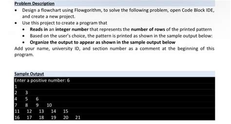 Solve Programming Problems 的图像结果