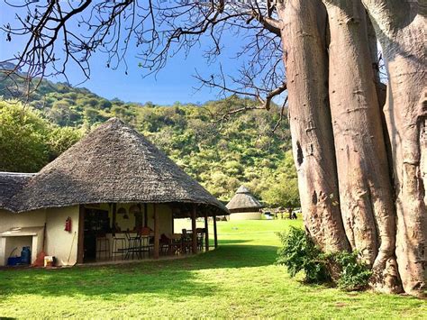 MIGOMBANI CAMP (Lake Manyara National Park) - Campground Reviews ...