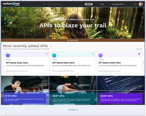 Image result for Any Point API Manager