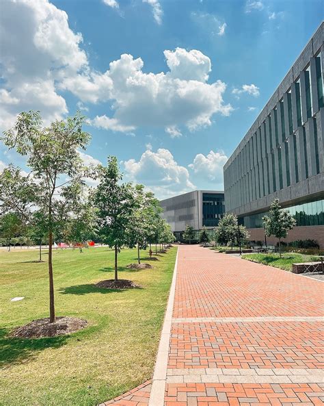 Uncommon Raleigh | Student Apartments for Rent in Raleigh, NC