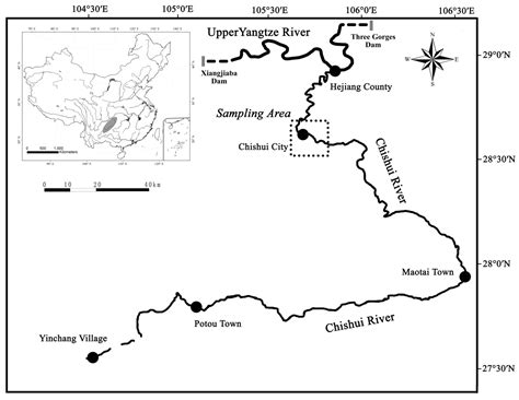 Food Web Structure and Trophic Interactions Revealed by Stable Isotope ...