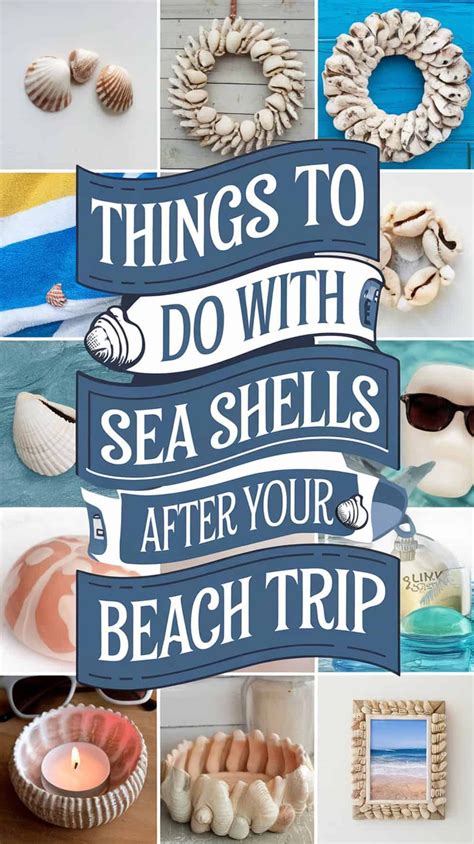 Image result for Crafts Using Sea Shells