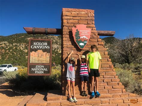 Zion National Park Wildlife: Ultimate Spotting Guide - National Parks Mom