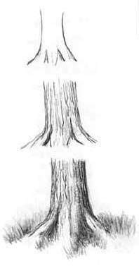 Image result for Drawing Using Perspective