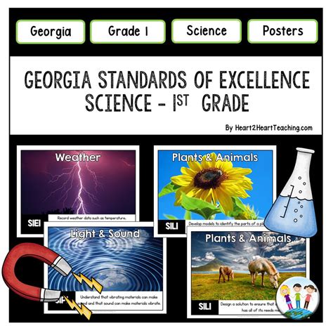 Georgia Standard of Excellence 1st Grade Science Posters – Heart 2 ...