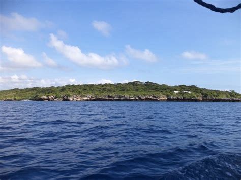 Bagongdiver (Singaraja) - All You Need to Know BEFORE You Go