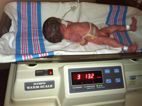 A unique path to parenthood...