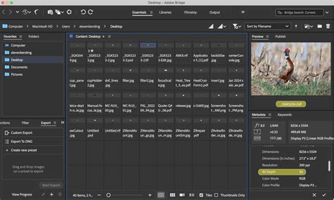 Bit Depth and Dynamic Range 的图像结果