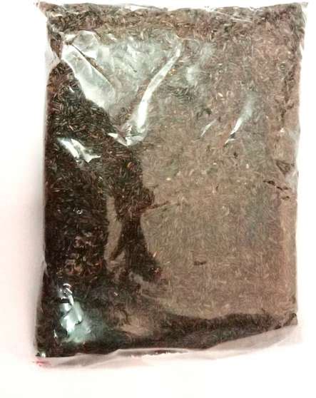 Vinarghya Karale / Karal / Ramtil / Blackseed / Surguja / Payellu ...