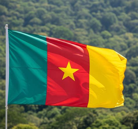 Decoding The Digits: Everything You Need To Know About The 783 Area Code