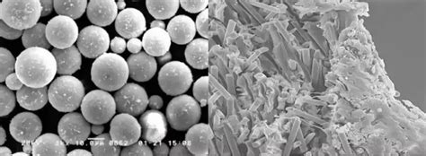 Difference between SEM and TEM - javatpoint