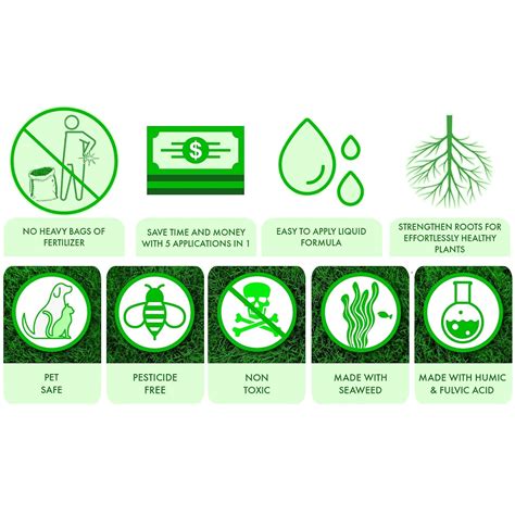 Buy Nature’s Lawn & Garden – Lawn Force 5 Phosphorus Free – Liquid Lawn ...