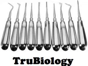 TRU BIOLOGY 1 Set Stainless Steel Dental Surgical Instrument Dental ...