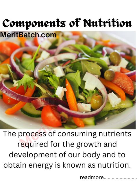 Science Components of Food 的图像结果