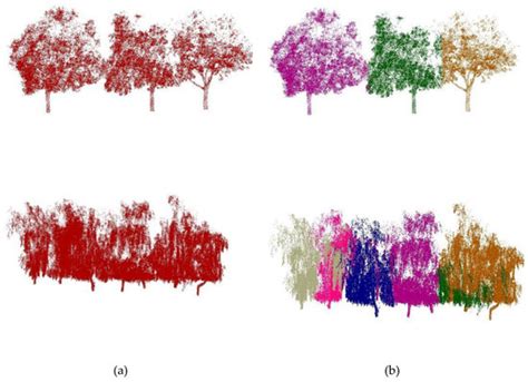 Hierarchical Fine Extraction Method of Street Tree Information from ...