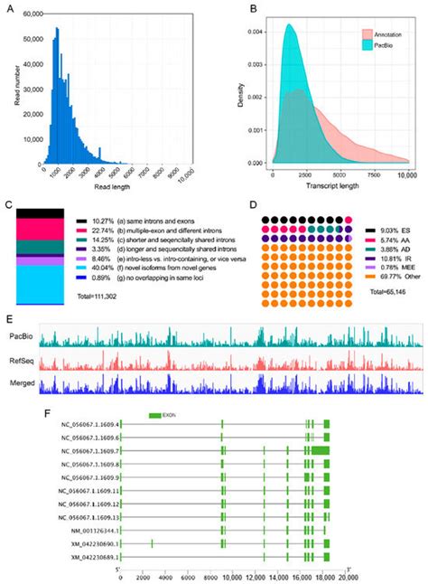 Full-Length Transcriptome and Gene Expression Analysis of Different ...