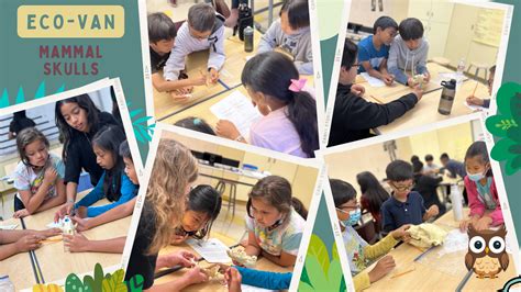 Our Magnet Program – Magnet Program – Dr. Sammy Lee Medical & Health ...