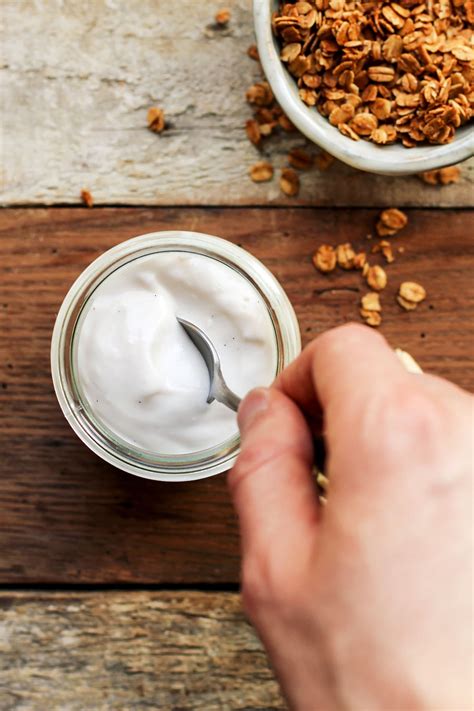 best dairy free yogurt