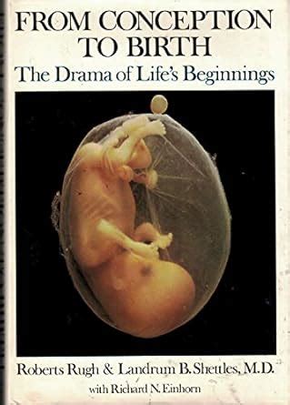 Buy From Conception to Birth: The Drama of Life's Beginnings Book ...