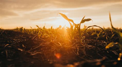 3 Things to Know About Nitrogen Hibernation - Titan Pro