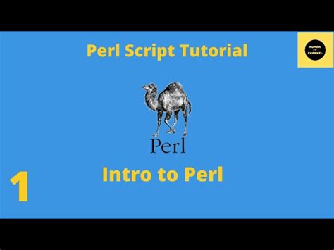 Image result for Perl Programming Language Genome