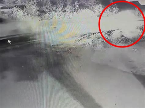 Nursing student flung 5 feet in air after car-hit Boy was heading to ...