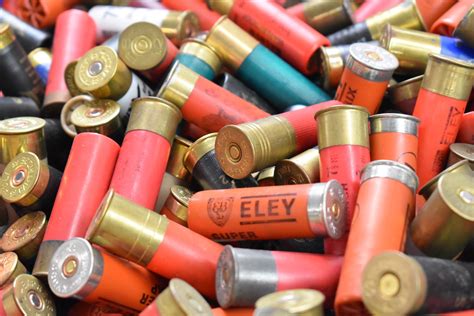 Over five-hundred 12 bore shotgun cartridges including Rugby Renown ...