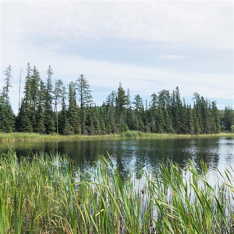 DUCK MOUNTAIN PROVINCIAL PARK (2025) All You Need to Know BEFORE You Go ...