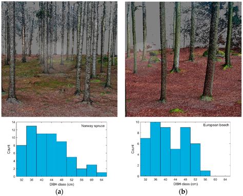 Mapping Forest Structure Using UAS inside Flight Capabilities