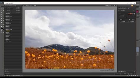 Adobe Photoshop Lightroom怎么使用径向滤镜-使用径向滤镜的方法_华军软件园