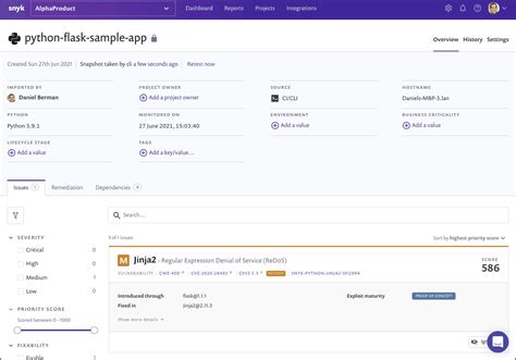 Image result for Python Script to Get the Snyk Report