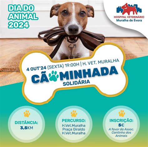 ? CÃOMINHADA SOLIDÁRIA - 4 DE OUTUBRO 2024 ? , R. Marechal Costa Gomes ...