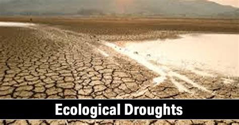 Ecological Droughts in India: Causes, Impacts, and the Way Forward
