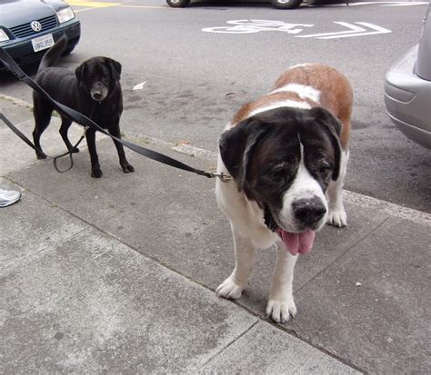 “Man… Jake always gets all the attention.” “Dude, it’s not my fault ...