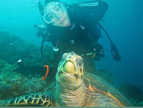 WEST BALI MENJANGAN TOUR (2025) All You Need to Know BEFORE You Go ...