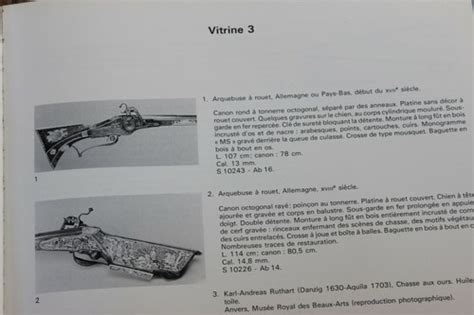 Museum of Arms of Cork Collection Pierre Solvay | Ubuy India