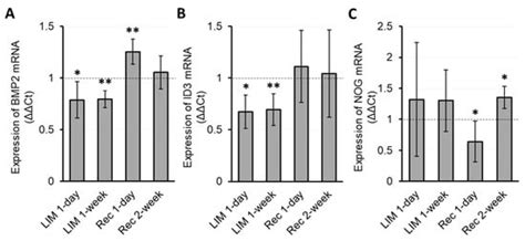 Changes in Expression in BMP2 and Two Closely Related Genes in Guinea ...