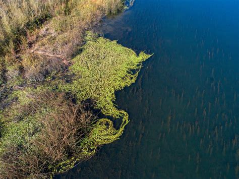 Join the Delta Protection Advisory Committee Meeting. Plus...