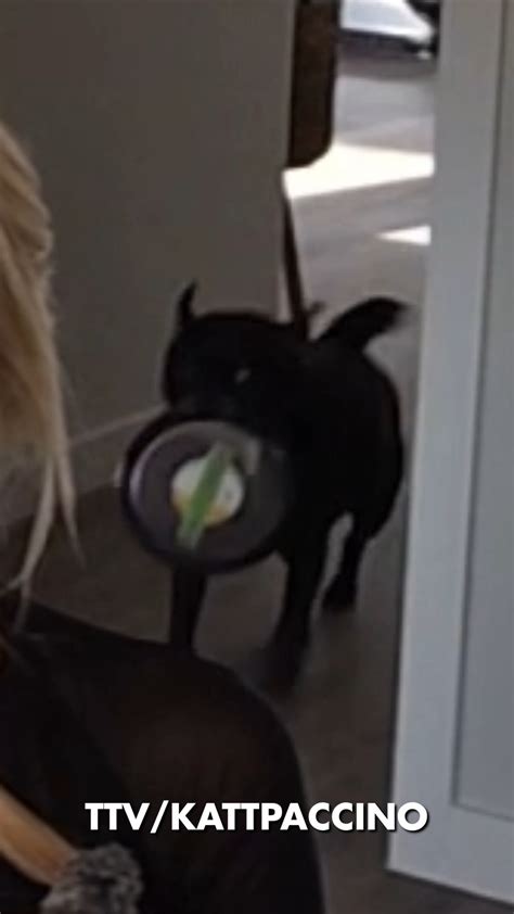 Kat (@kattpaccinoclips) • Instagram photos and videos