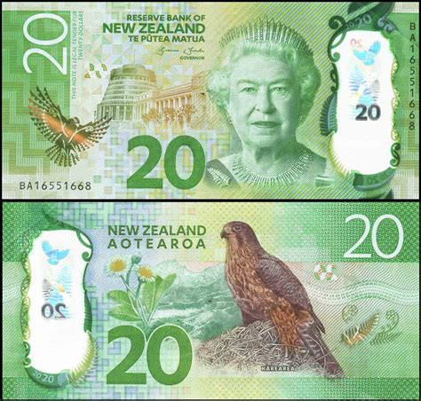 New Zealand 20 Dollars Karearea - Used Polymer Banknote – Banknotecoinstamp