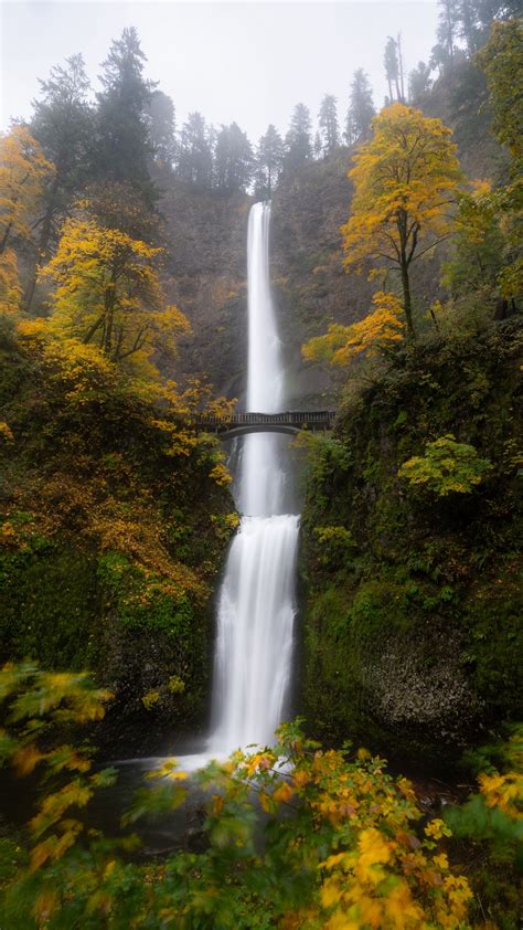 Download wallpaper 2160x3840 waterfall, water, bridge, trees, landscape ...