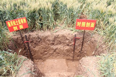 地质技术研发中心开展耕地质量分类监测外业工作_河南豫中地质勘查工程有限公司