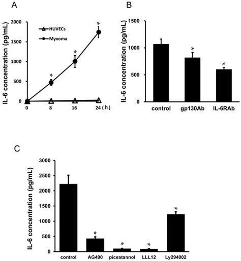 Autocrine Regulation of Interleukin-6 via the Activation of STAT3 and ...