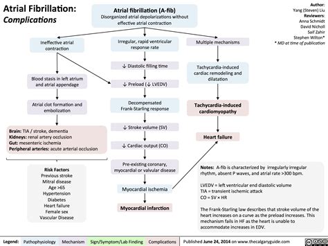 Atrial Fibrillation Pathophysiology