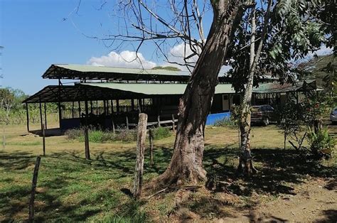 HORSE SAFARI PUNTA MALA MARINE REFUGE (2026) All You Need to Know ...