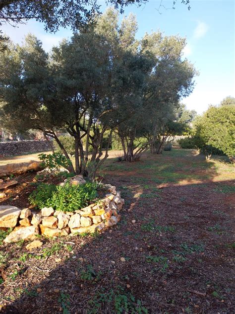 Alcalalí, VC Cannabis Rental | Alcalalí, VC 420 Rental | Mosquera ...