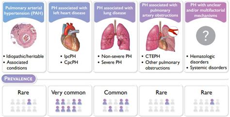 Pulmonary