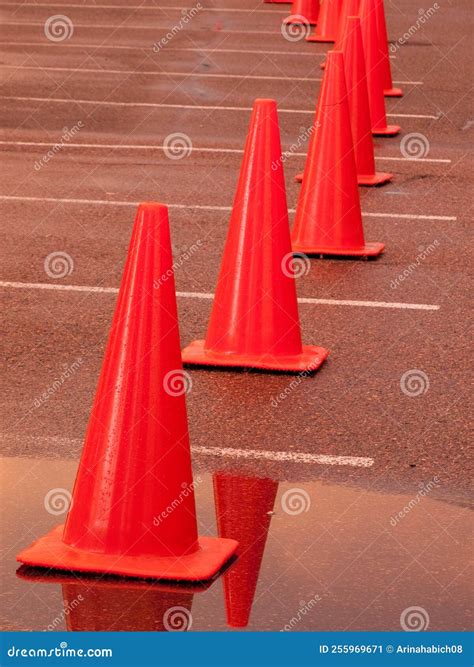 Construction of Cone 的图像结果