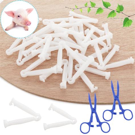 Buy 100 Pcs White Umbilical Cord Clamps, with 2 Hemostatic Forceps for ...